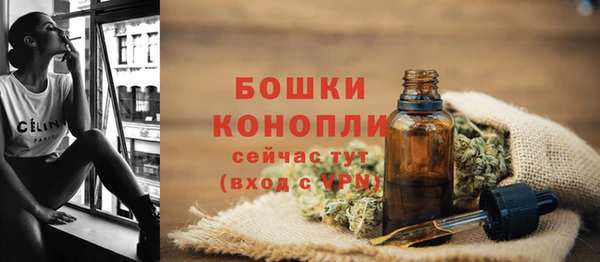 мяу мяу мука Гусь-Хрустальный