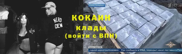 МДПВ Гусев