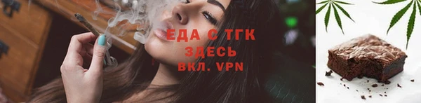 МДПВ Гусев