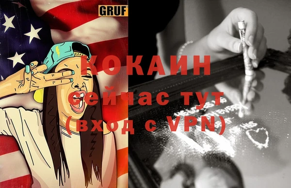 мяу мяу мука Гусь-Хрустальный