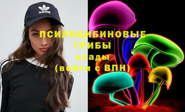 шишки Елабуга